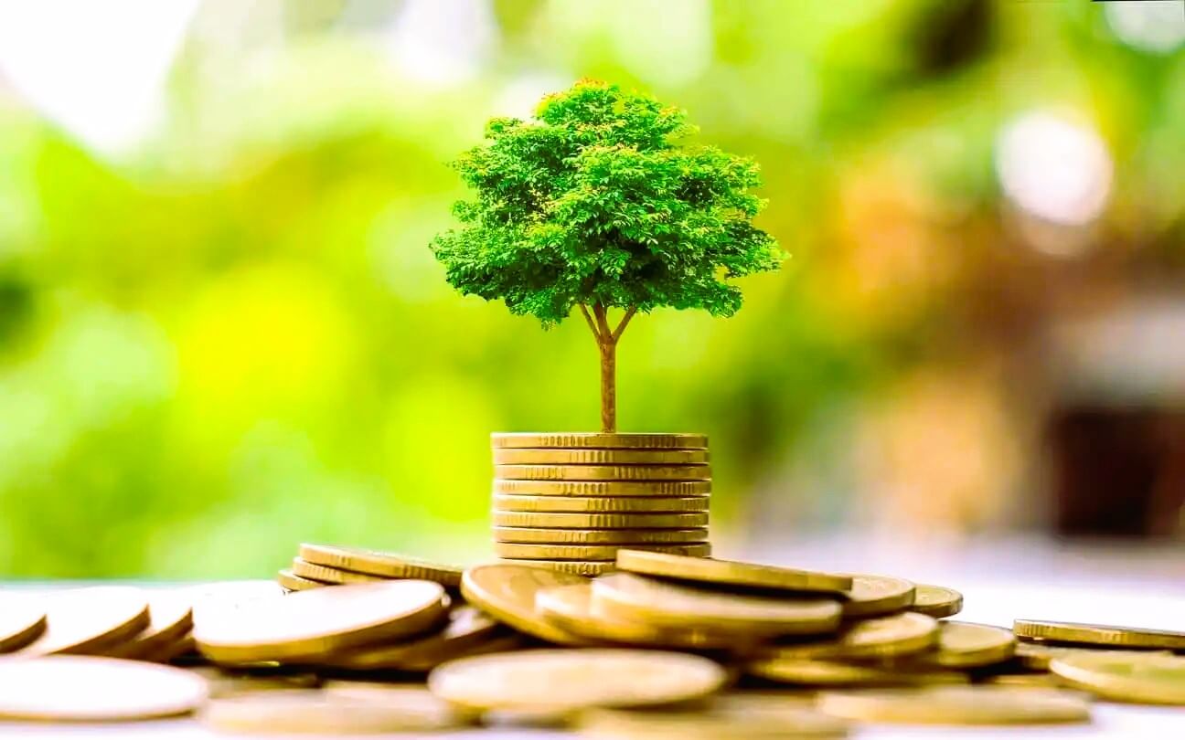 ETFs oder Aktien: Welche Anlageform passt perfekt zu dir?